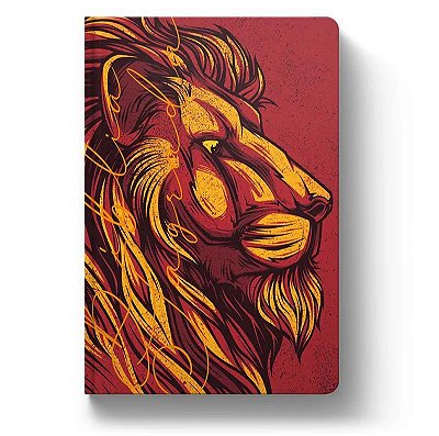 Bíblia Sagrada - NTLH - YouVersion - Leão Núbio - Letra Normal