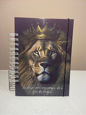 Agenda Permanente Leão