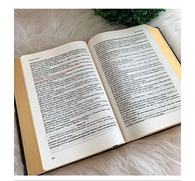 BÍBLIA DE ESTUDO LTT (CAPA PRETA)