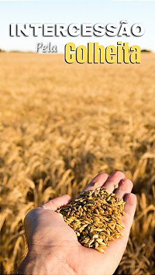 E-book - Intercessão para Colheita