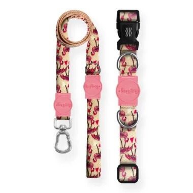 Kit Guia Premium + Coleira Premium Flamingo Dog Trip Brasil