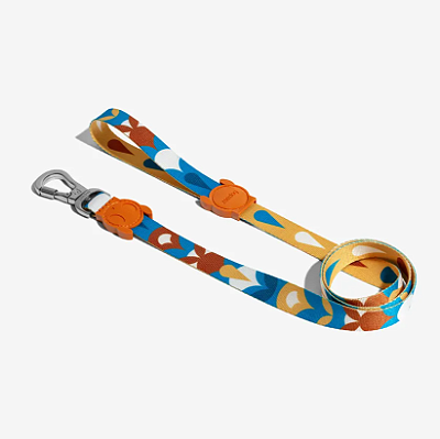 Guia Zeedog para cachorros Yansun