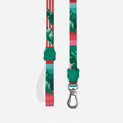 Guia Zee dog para cachorros Bali