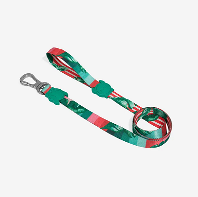 Guia Zeedog para cachorros Bali