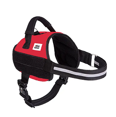 Peitoral para Cachorros Juno Personalizável Tam G - Dog Friends Forever