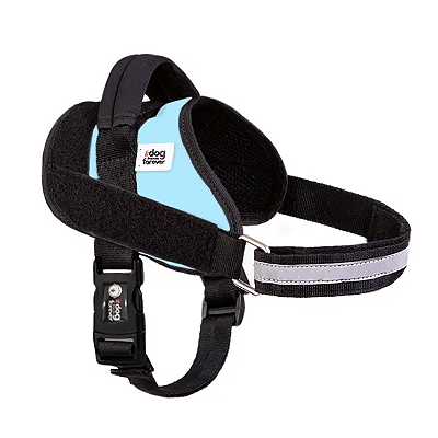Peitoral para Cachorros Juno Personalizável Tam M - Dog Friends Forever