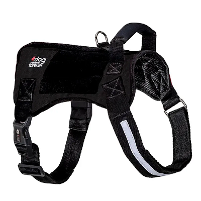 Peitoral para Cachorros Astro Personalizável Tam G - Dog Friends Forever
