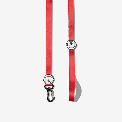 Guia para Cachorro Vermelho Dog Friends Forever