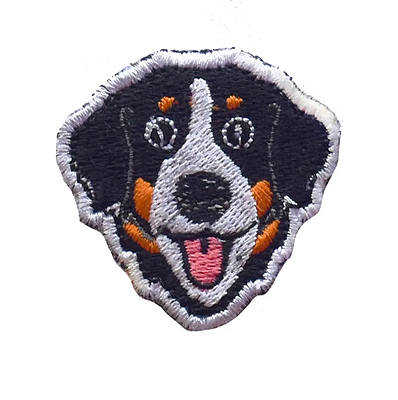 Patch Bernese