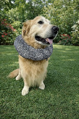 Colar Elizabetano Zebra preto e branco - Acapulco Pet