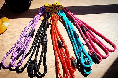 Guia Unificada para cachorro - Multipatas