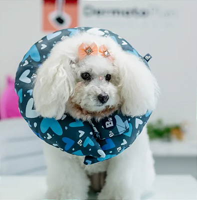 Colar Elizabetano Ajustavel e confortavel Azul de coração