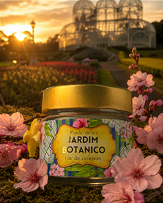 Vela Jardim Botânico - FLOR DE CEREJEIRA
