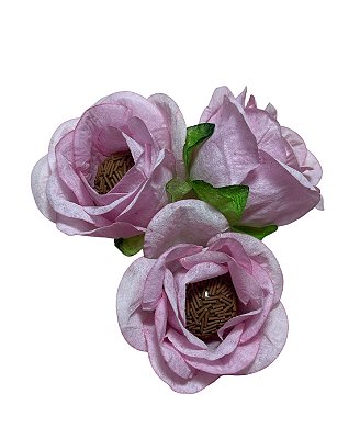 Rosa Nobre Luxo 50Und