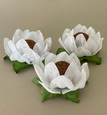 Flor de Maracujá 50Und
