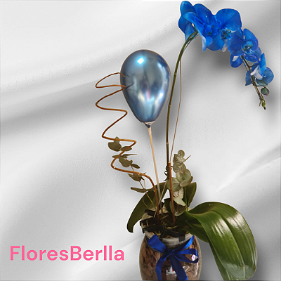 Orquídea  azul