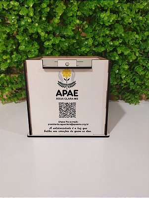 Cofre APAE 12cm x 12cm x 12cm