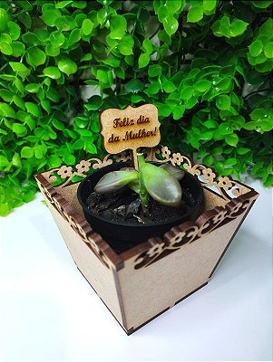 Dia das Mulheres - Mini cachepot + plaquinha