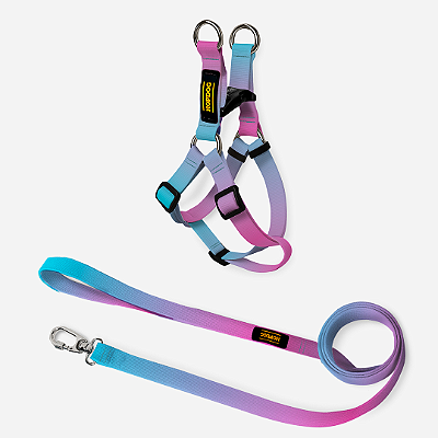 Kit Azul e Roxo - Peitoral Step In com Guia