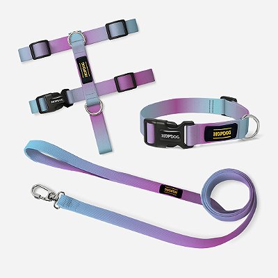 Kit Azul e Roxo - Peitoral H com Guia Slim e Coleira