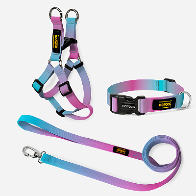 KIT Azul e Roxo - Peitoral Step In com Guia Slim e Coleira