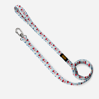 Guia 3 metros - Joaninha