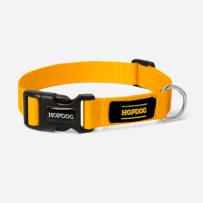 Coleira - Laranja