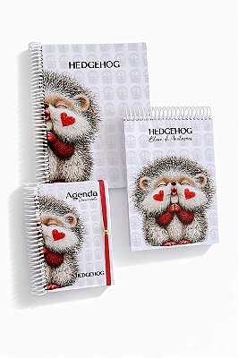 Kit Hedgehog Fofo - Agenda Permanente + Caderno + Bloco de Notas