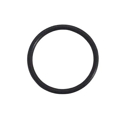 ANEL ORING - 70068246/G10021V