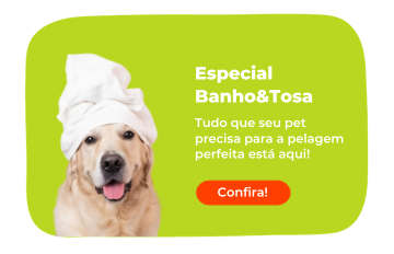 cachorro
