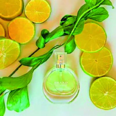 BRAND 269 CHANEL CHANCE FRAICHE FEMININO MINIATURA 25ML