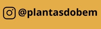 Siga nosso Instagram