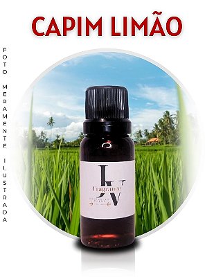 Essência de Aromatizador Capim Limão