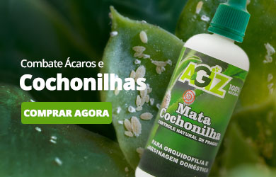 mata cochonilha