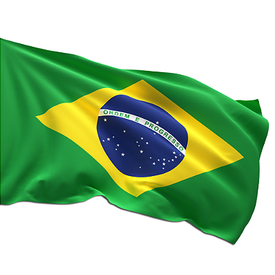 Bandeira do Brasil - Impressão Sublimática em Tecido Poliéster | Copa e Política