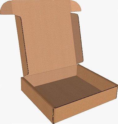 Caixa Para E-commerce 26X22X5 - Kit 10 Unidades