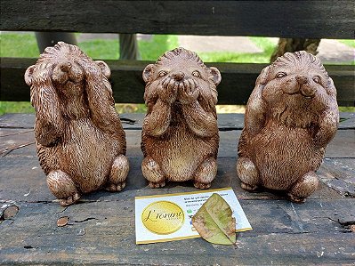 Trio de Esquilos Sábios 12cm | Castanho