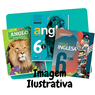 Kit Apostilas 8° ano Fundamental 2026