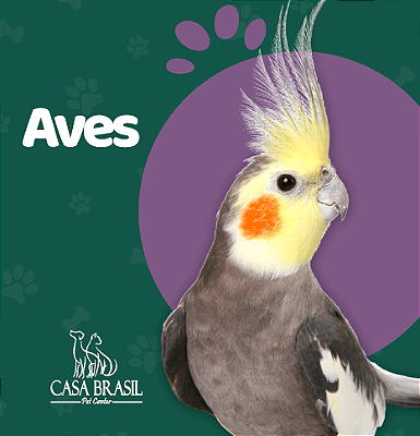 Aves