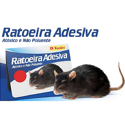 Ratoeira Adesiva Cola Rato Un