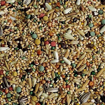 Mistura Calopsita Exclusiva 1kg