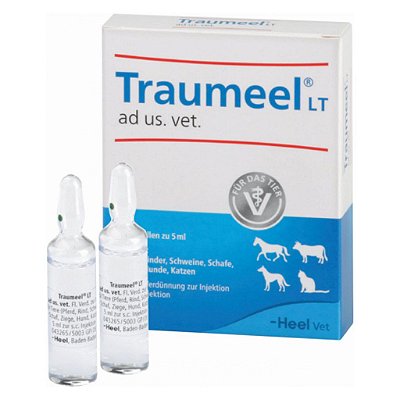 Traumeel Injetável 5 Ampolas De 5 mL - Heel Vet