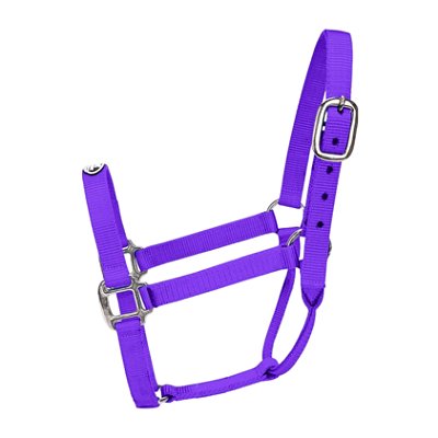 Cabresto Tamanho Médio Roxo - Boots Horse