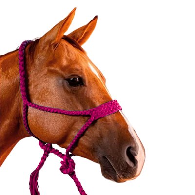 Cabresto Com Cabo Trançado de Paracord Rosa - Boots Horse