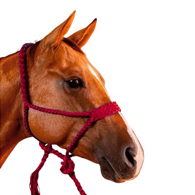 Cabresto Com Cabo Trançado de Paracord Vermelho - Boots Horse