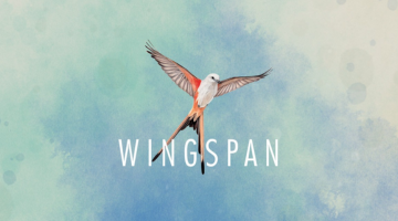 Wingspan