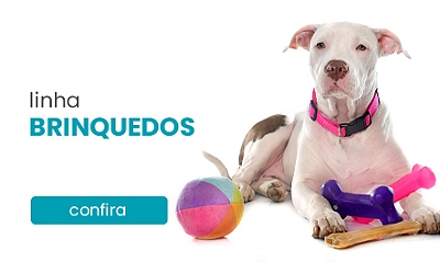 BRINQUEDOS