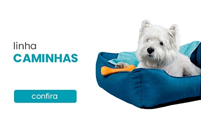 CAMINHAS