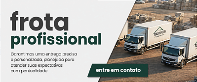 frota profissional