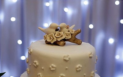 TOPO DE BOLO DELICADO, POMBINHOS PARA CASAMENTO